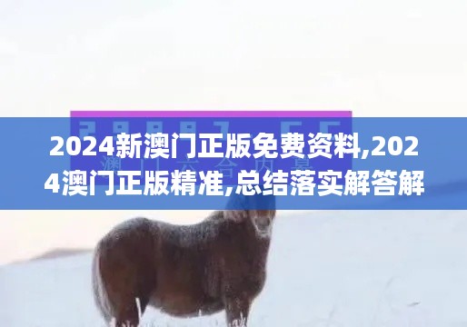 2024新澳门正版免费资料,2024澳门正版精准,总结落实解答解释_WLR9.66.51神器版