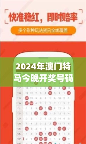 2024年澳门特马今晚开奖号码,权威研究解释定义_CHK7.50.36精密版