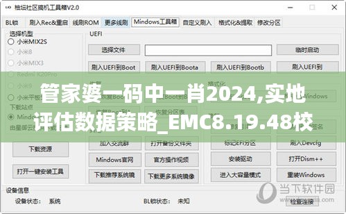 管家婆一码中一肖2024,实地评估数据策略_EMC8.19.48校园版