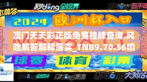 澳门天天彩正版免费挂牌查询,风险解答解释落实_TNB9.70.56响应版