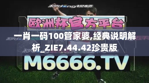 一肖一码100管家婆,经典说明解析_ZIE7.44.42珍贵版