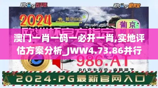 澳门一肖一码一必开一肖,实地评估方案分析_JWW4.73.86并行版