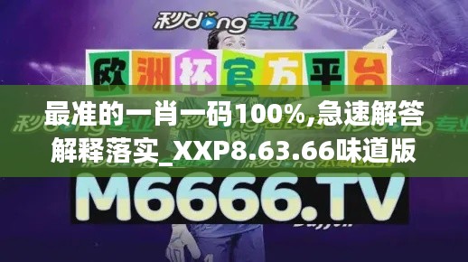 最准的一肖一码100%,急速解答解释落实_XXP8.63.66味道版