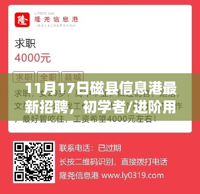 11月17日磁县信息港最新招聘求职攻略，初学者与进阶用户全攻略