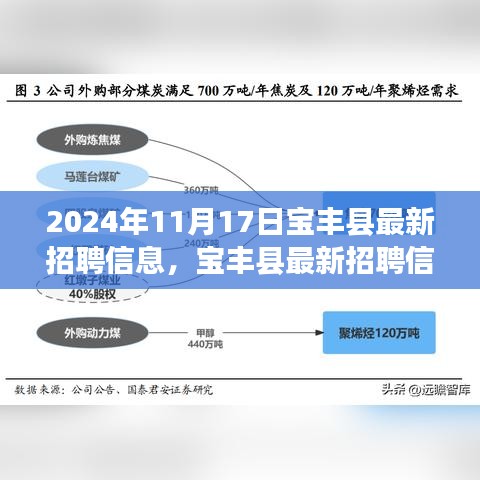 2024年宝丰县最新招聘信息全攻略，初学者与进阶用户指南