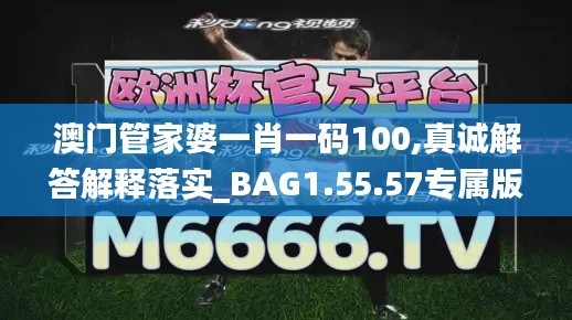 澳门管家婆一肖一码100,真诚解答解释落实_BAG1.55.57专属版