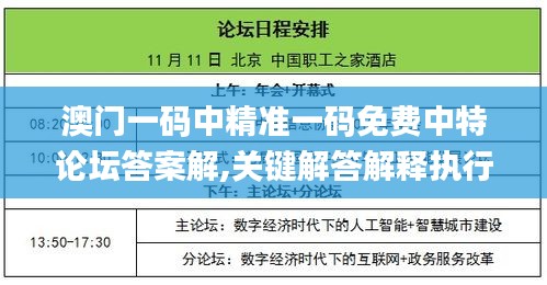 澳门一码中精准一码免费中特论坛答案解,关键解答解释执行_FYO7.72.48获取版