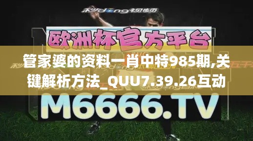 管家婆的资料一肖中特985期,关键解析方法_QUU7.39.26互动版