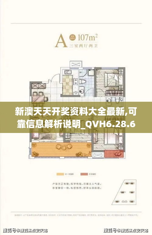 新澳天天开奖资料大全最新,可靠信息解析说明_QVH6.28.66解题版