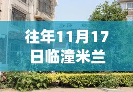 2024年11月 第1378页