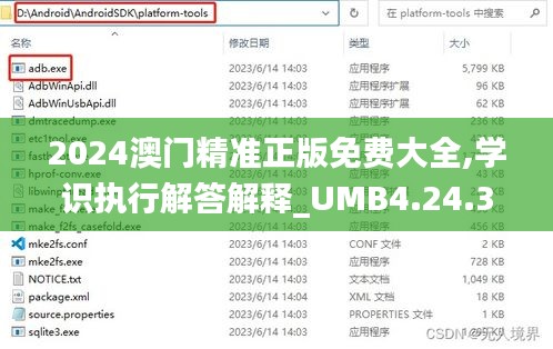 2024澳门精准正版免费大全,学识执行解答解释_UMB4.24.30个人版