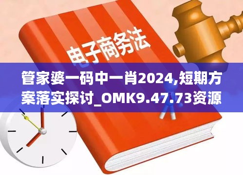 管家婆一码中一肖2024,短期方案落实探讨_OMK9.47.73资源版