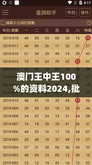 澳门王中王100%的资料2024,批判解答解释落实_DDY4.75.71铂金版