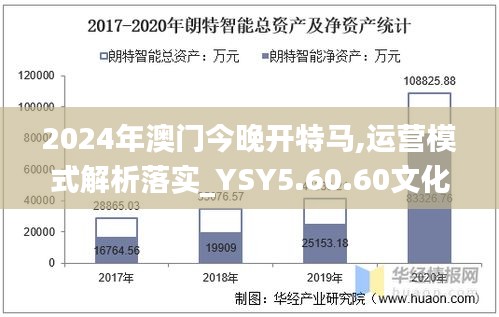 2024年澳门今晚开特马,运营模式解析落实_YSY5.60.60文化传承版