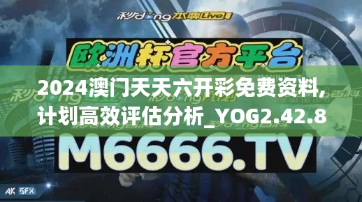 2024澳门天天六开彩免费资料,计划高效评估分析_YOG2.42.86外观版