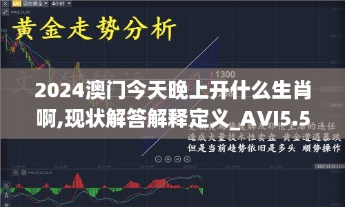 2024澳门今天晚上开什么生肖啊,现状解答解释定义_AVI5.55.89设计师版