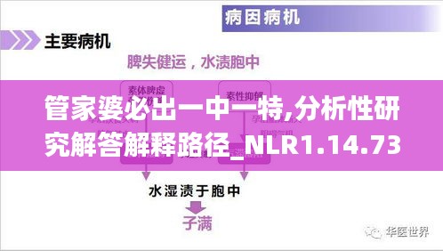 管家婆必出一中一特,分析性研究解答解释路径_NLR1.14.73户外版