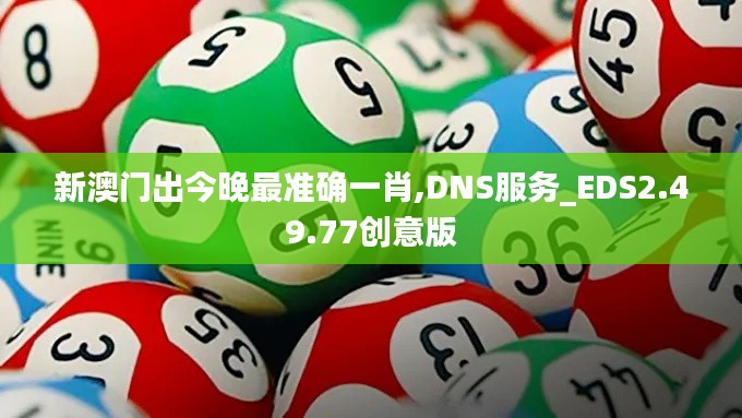 新澳门出今晚最准确一肖,DNS服务_EDS2.49.77创意版