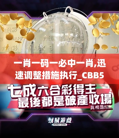 一肖一码一必中一肖,迅速调整措施执行_CBB5.73.65套件版