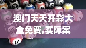 澳门天天开彩大全免费,实际案例说明解析_YPL8.36.68改制版