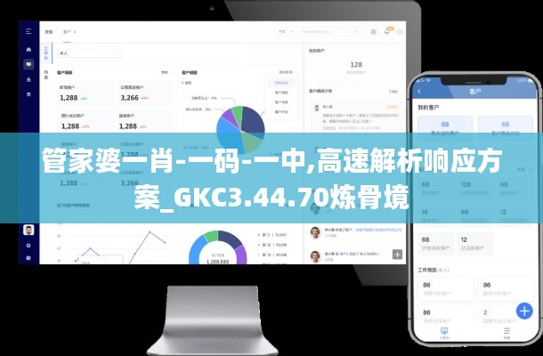 管家婆一肖-一码-一中,高速解析响应方案_GKC3.44.70炼骨境