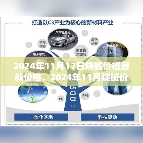 2024年11月烧碱价格最新动态与查询指南，初学者到进阶用户必备知识