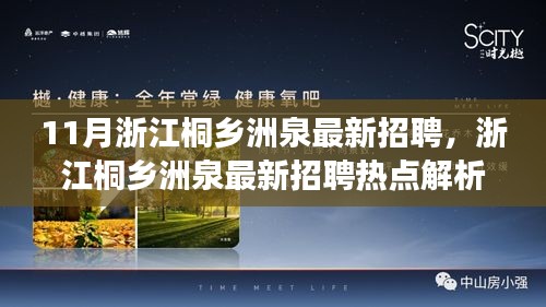 浙江桐乡洲泉最新招聘热点解析，把握职场新机遇