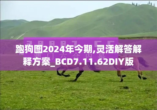 跑狗图2024年今期,灵活解答解释方案_BCD7.11.62DIY版