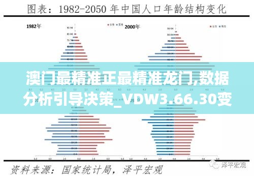 澳门最精准正最精准龙门,数据分析引导决策_VDW3.66.30变革版