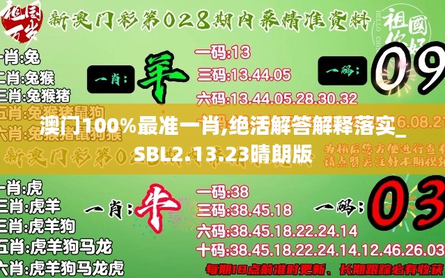 澳门100%最准一肖,绝活解答解释落实_SBL2.13.23晴朗版