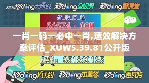 一肖一码一必中一肖,速效解决方案评估_XUW5.39.81公开版