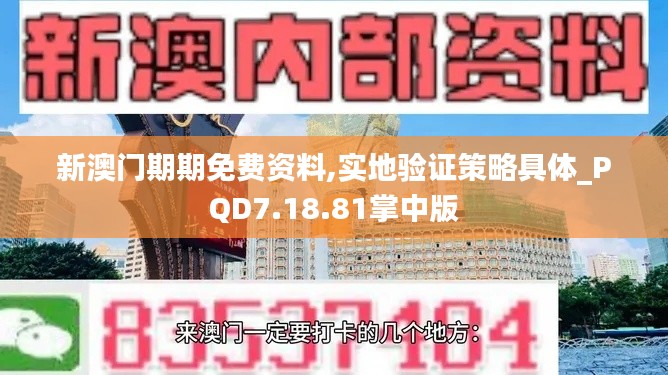 新澳门期期免费资料,实地验证策略具体_PQD7.18.81掌中版