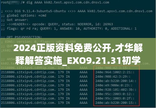 2024正版资料免费公开,才华解释解答实施_EXO9.21.31初学版