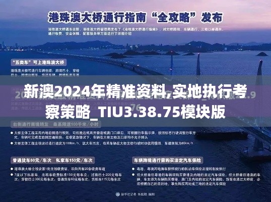 新澳2024年精准资料,实地执行考察策略_TIU3.38.75模块版