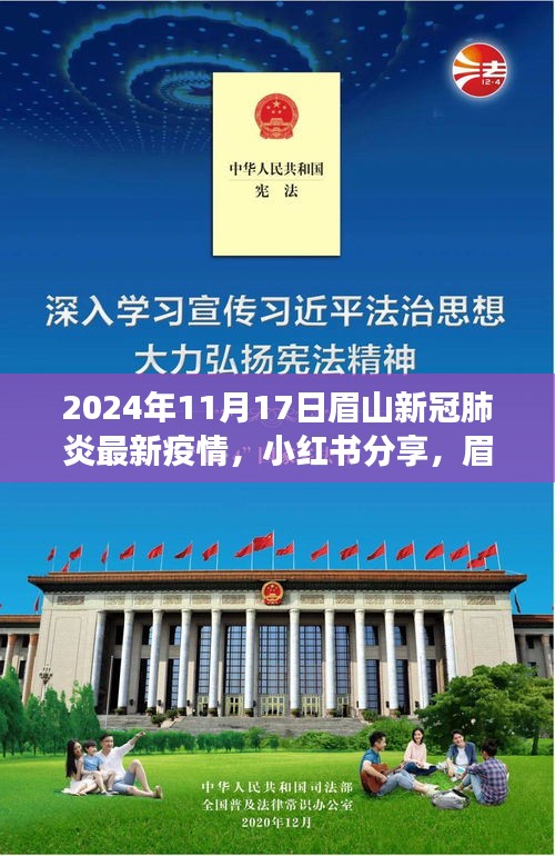 眉山新冠肺炎最新动态，共同守护家园，小红书分享最新进展（2024年11月17日更新）