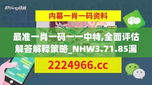 最准一肖一码一一中特,全面评估解答解释策略_NHW3.71.85漏出版