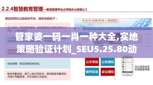 管家婆一码一肖一种大全,实地策略验证计划_SEU5.25.80动图版