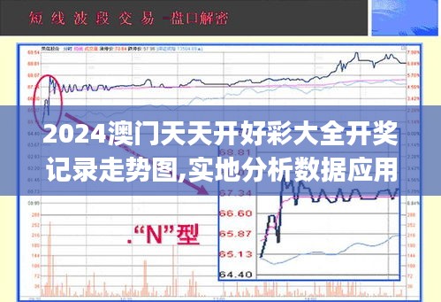 2024澳门天天开好彩大全开奖记录走势图,实地分析数据应用_WYZ8.18.21随机版