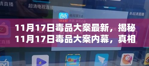 揭秘，11月17日毒品大案内幕与真相探索