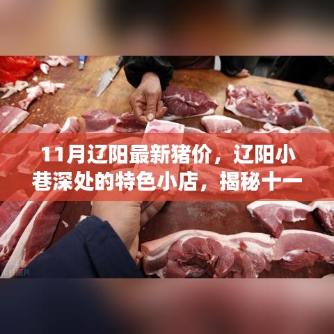 辽阳最新猪价与小巷美食探秘，十一月猪肉行情与美味故事