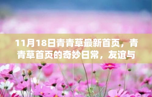 秋日绽放的友谊与爱，青青草首页奇妙日常