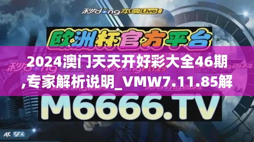 2024澳门天天开好彩大全46期,专家解析说明_VMW7.11.85解放版