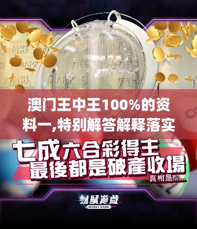 澳门王中王100%的资料一,特别解答解释落实_ECD9.25.85激励版