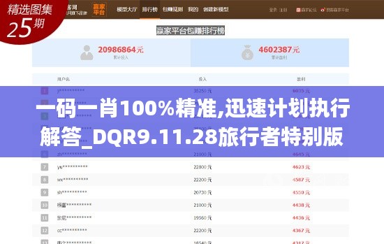 一码一肖100%精准,迅速计划执行解答_DQR9.11.28旅行者特别版