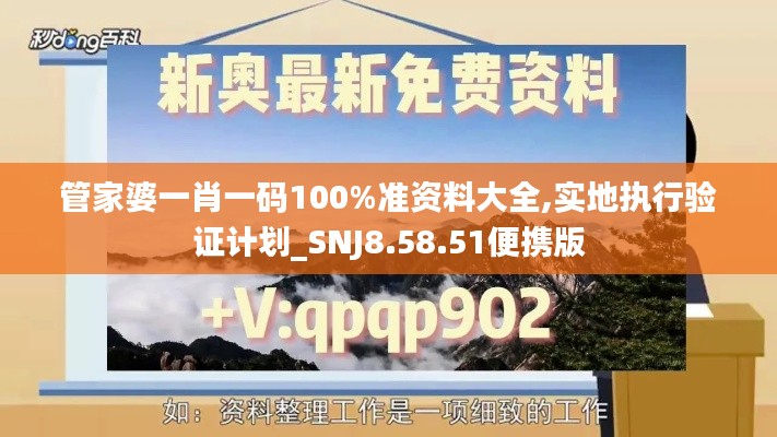 管家婆一肖一码100%准资料大全,实地执行验证计划_SNJ8.58.51便携版