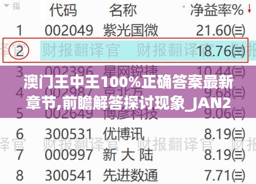 澳门王中王100%正确答案最新章节,前瞻解答探讨现象_JAN2.43.93复古版