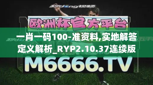 一肖一码100-准资料,实地解答定义解析_RYP2.10.37连续版