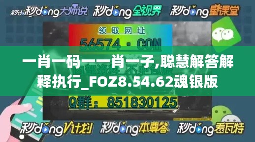 一肖一码一一肖一子,聪慧解答解释执行_FOZ8.54.62魂银版