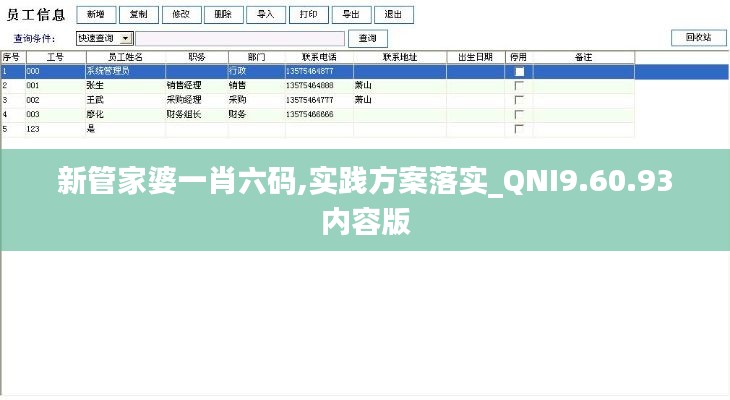 新管家婆一肖六码,实践方案落实_QNI9.60.93内容版