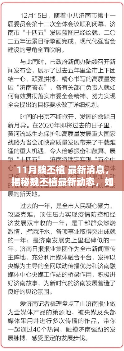 11月魏丕植 最新消息，揭秘魏丕植最新动态，如何获取并解读相关资讯的详细步骤指南